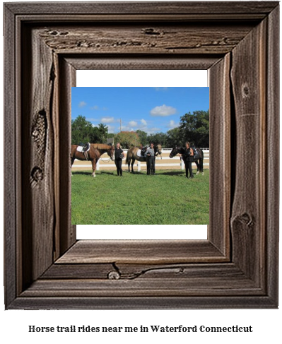 horse trail rides near me in Waterford, Connecticut